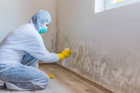  Moraine, OH Mold Removal Services Pros