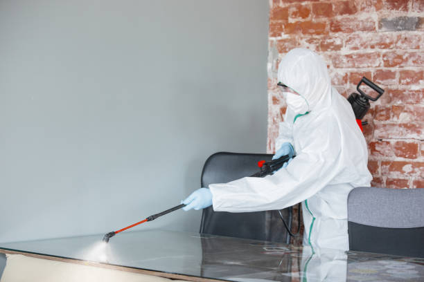 Best Mold Prevention Services  in Moraine, OH