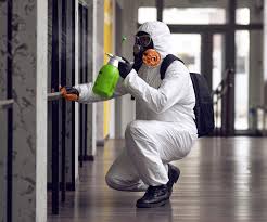 Best Emergency Mold Remediation  in Moraine, OH