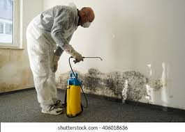 Best Environmental Consulting for Mold Prevention  in Moraine, OH